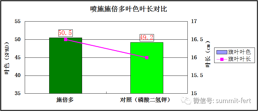 小麦增产6.3?看小小一袋进口施倍多叶面肥的大能量!